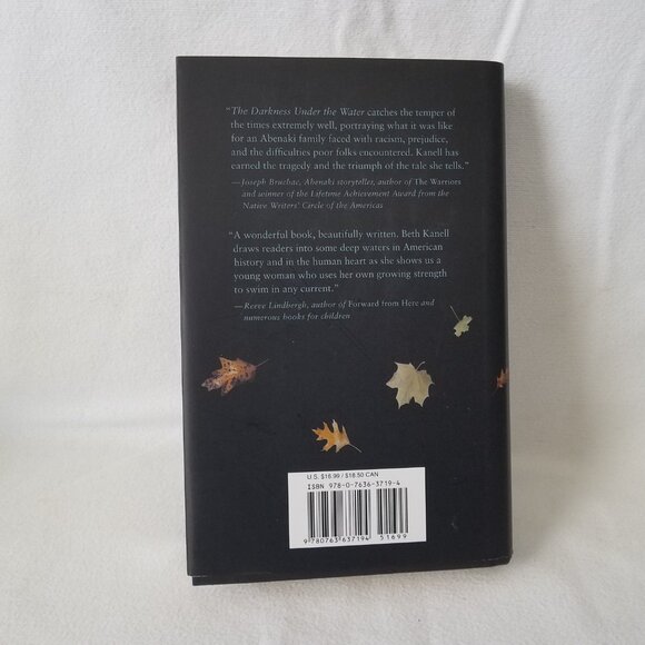 The Darkness Under the Water Au: Beth Kanell SGD Pub: 2008  ISBN: 9780763637194 - Picture 5 of 11